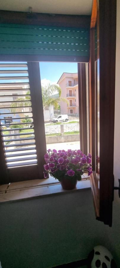 Apartment Mar Do Sol